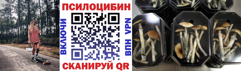 Галлюциногенные грибы прущие грибы  Талдом 