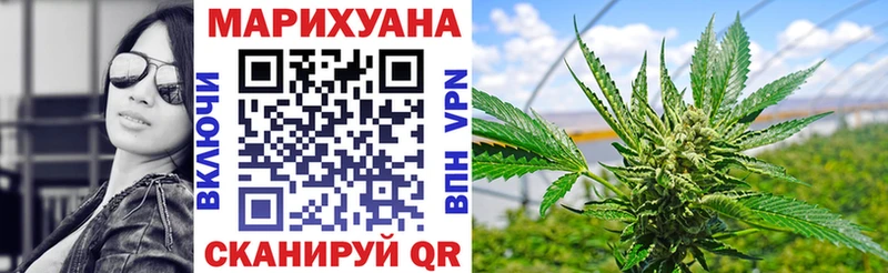 Бошки марихуана сатива  как найти наркотики  Талдом 